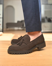 VIAREGGIO - Camoscio Marrone