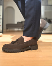 VIAREGGIO - Camoscio Marrone