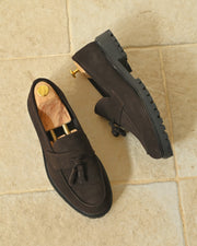 VIAREGGIO - Camoscio Marrone