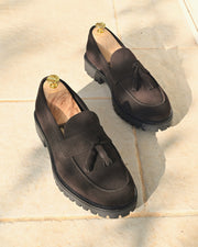 VIAREGGIO - Camoscio Marrone